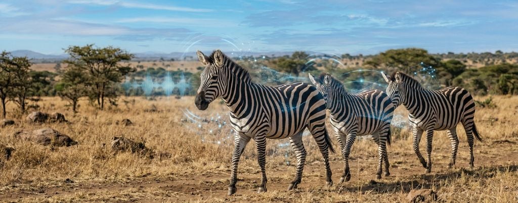 Blog Post - inside Images (1)